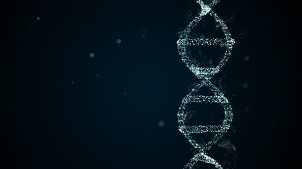 摘要研究分离的蓝丛DNA分子。图片下载