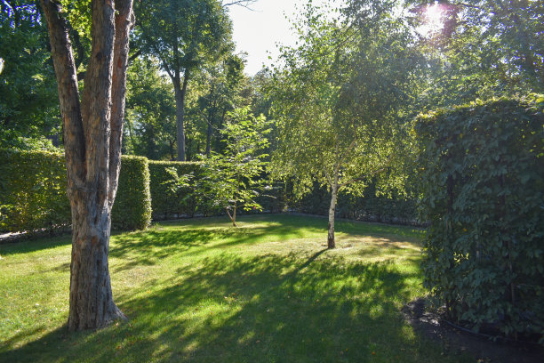 树在一个美丽的角落图片下载