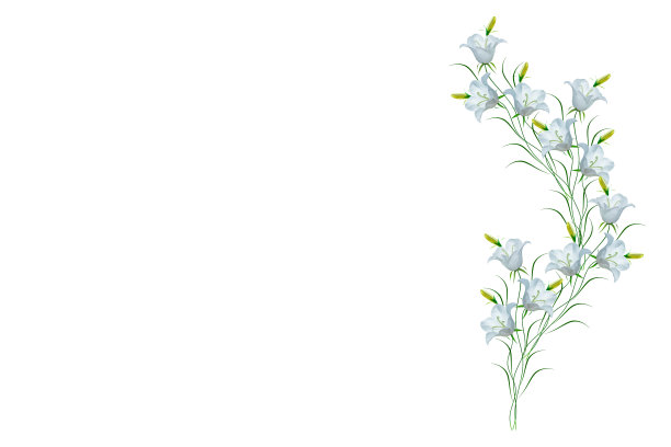 鲜艳多彩的风铃花图片下载