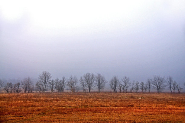 秋天的颜色图片下载