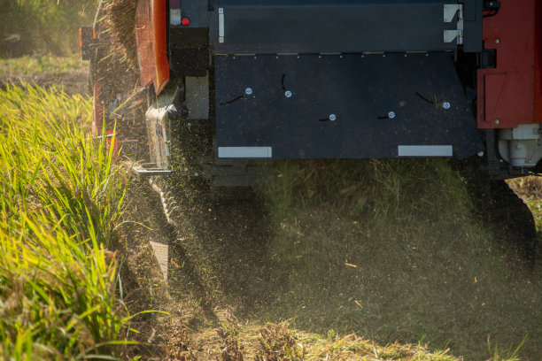 使用大型联合收割机收割水稻的照片图片下载