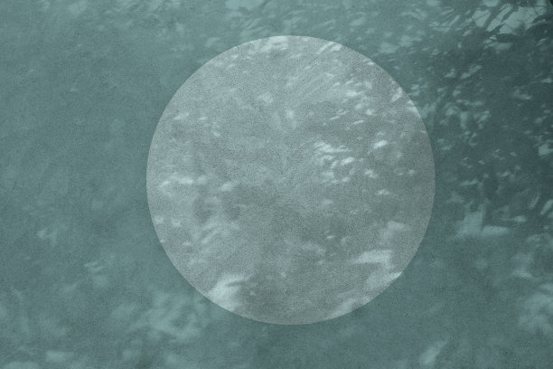 圆形空白框架模型与树叶阴影覆盖在薄荷背景上，俯视图图片下载