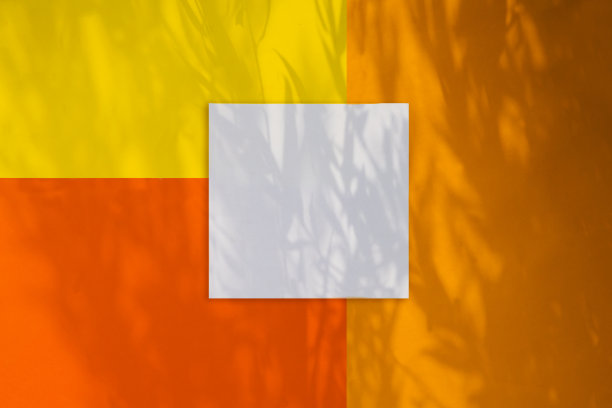 空白框架模型与花卉阴影覆盖在一个彩色背景，俯视图图片下载