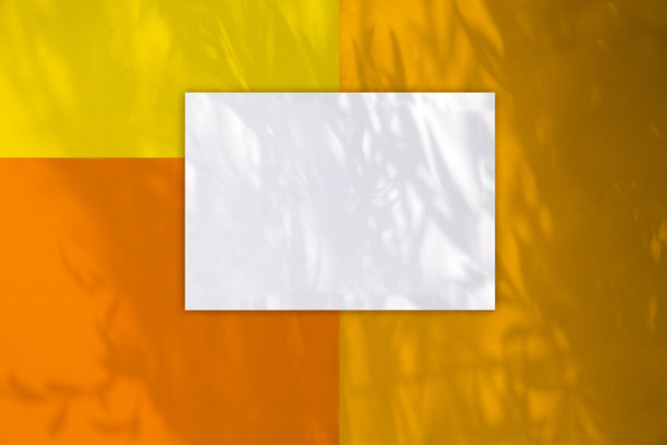 空白框架模型与花卉阴影覆盖在一个彩色背景，俯视图图片下载