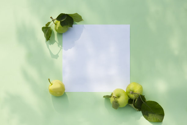 方形空白框架模型与花卉阴影和苹果薄荷背景，俯视图。副本的空间。夏天平躺图片下载