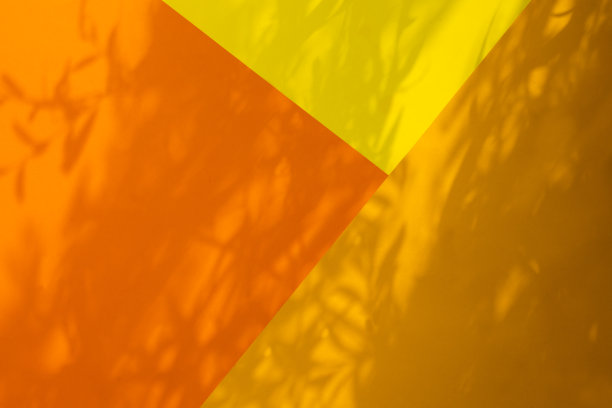 空白框架模型与花卉阴影覆盖在一个彩色背景，俯视图图片下载