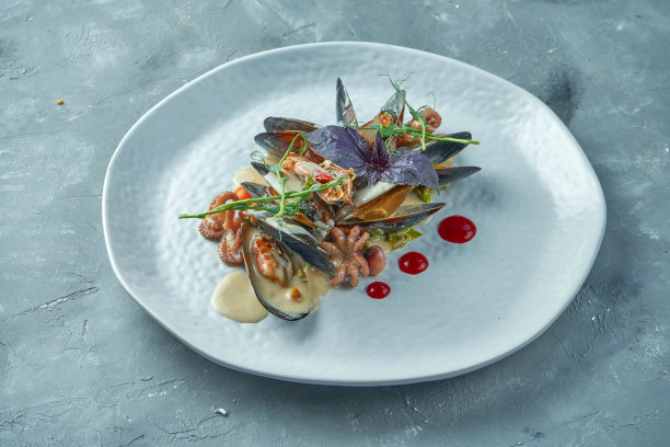 奶油炖海鲜用奶油酱炖的海鲜贻贝，小章鱼和虾与酱料在白色的盘子在灰色的背景图片下载