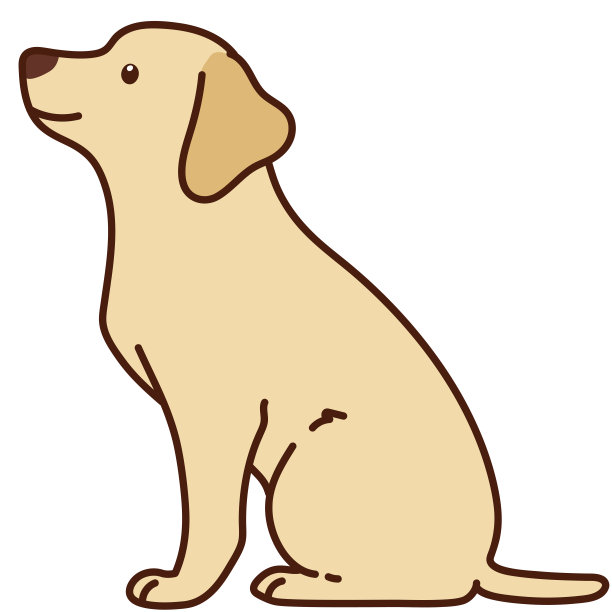 轮廓霜拉布拉多坐在侧视图片下载