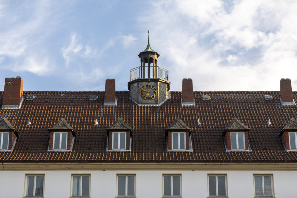 沃尔夫斯堡历史学校的屋顶和钟楼图片下载