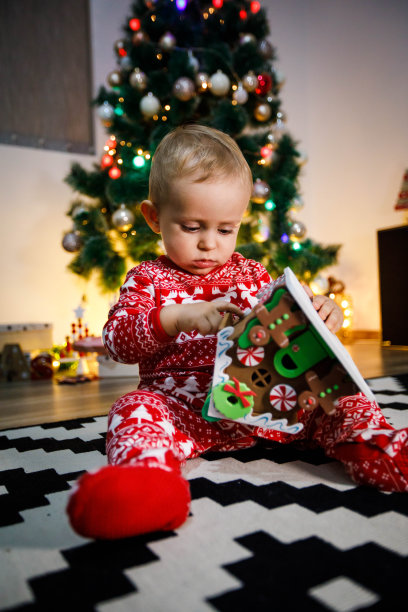 有趣的狗在圣诞树的背景图片下载