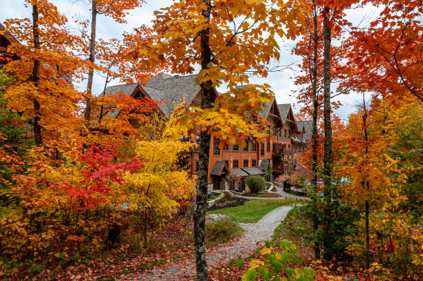 秋天，建筑被美丽的枫树环绕着图片下载