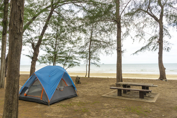 海滩边有松树的帐篷。图片下载