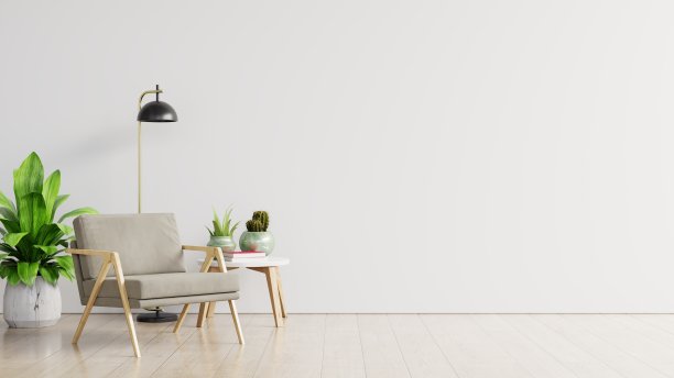 客厅白色墙壁和扶手椅。图片下载