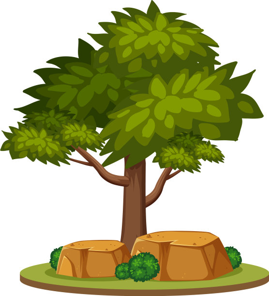 白色背景上的一棵大树图片下载