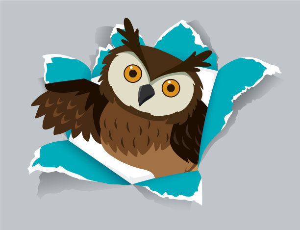 背景模板设计与野生猫头鹰灰色图片下载