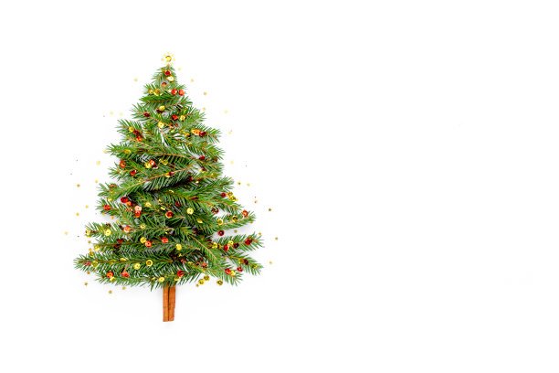 白色背景上的杉木枝制成的迷你圣诞树。新年、假日概念。平躺，俯视图图片下载