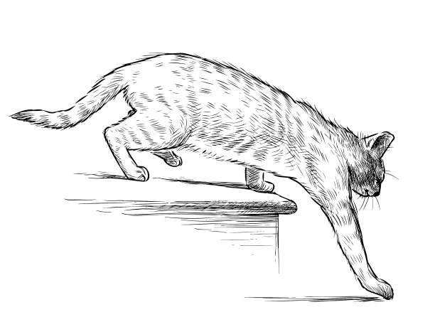 素描家猫走下楼梯图片下载