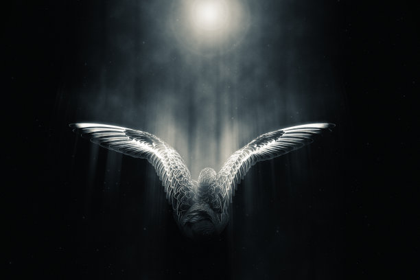 飞翔的鸟。创造性的抽象本质。黑暗的背景。图片下载