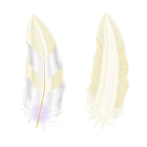 粉色金色闪光羽毛波西米亚风格元素纹身模板矢量素材图片下载