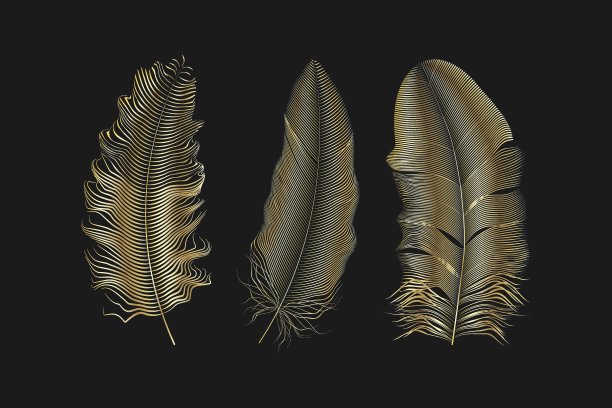 粉色金色闪光羽毛波西米亚风格元素纹身模板矢量素材图片下载