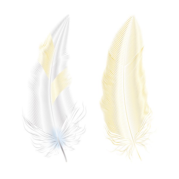 粉色金色闪光羽毛波西米亚风格元素纹身模板矢量素材图片下载