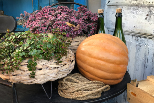 秋季餐桌装饰在乡村风格的大橙色南瓜和酒瓶图片下载