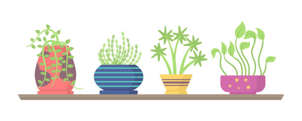 家里挂着植物。图片下载