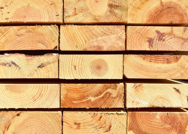 松树砍伐木材背景。木材纹理与阳光。图片下载