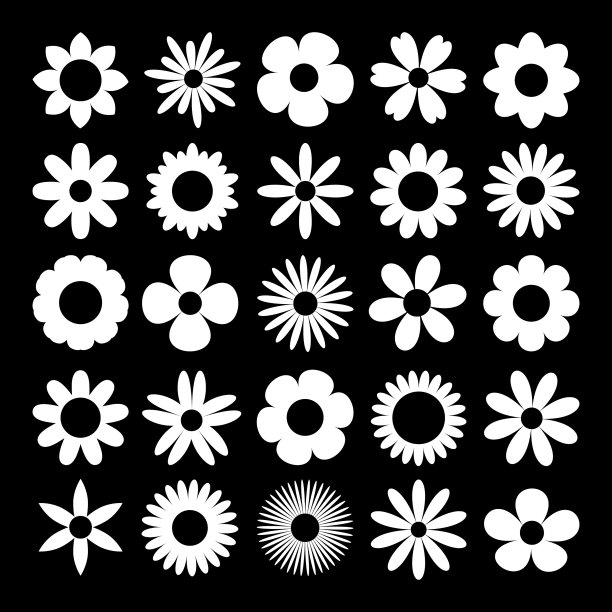 甘菊集白色雏菊的甘菊剪影图片下载