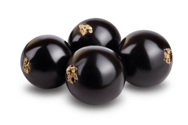 黑醋栗与叶子孤立的白色背景与修剪路径和充分的景深图片下载