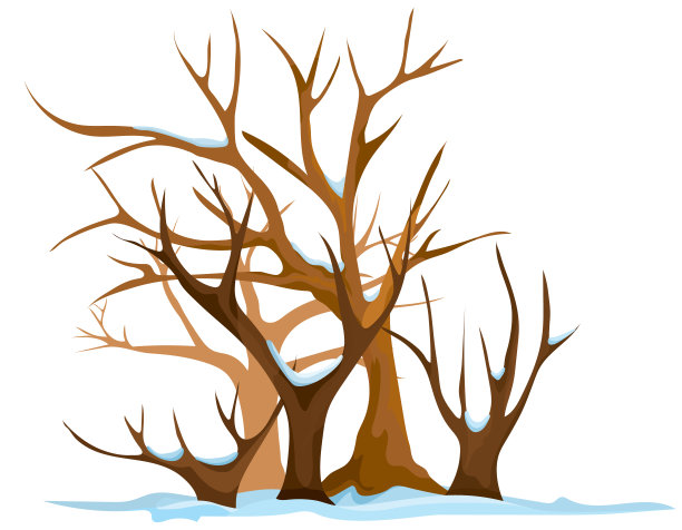 冬季森林孤立在白色背景。图片下载