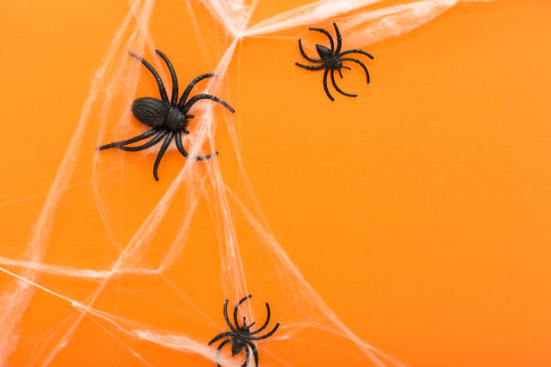 万圣节背景以蜘蛛网和蜘蛛作为万圣节的象征，在橙色的背景上。万圣节快乐的概念。框架。副本的空间。图片下载