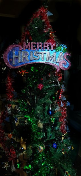 黑暗中的圣诞树图片下载