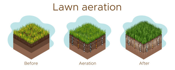 草坪保养-通风和划痕。阶段标签-之前，期间和之后。吸收物质——水、氧气和养料来喂养草地和土壤。矢量等距插图孤立图片下载