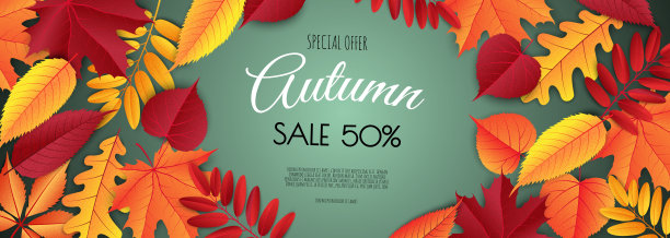 秋季促销传单模板。明亮的秋叶。海报，卡片，标签，横幅设计。图片下载