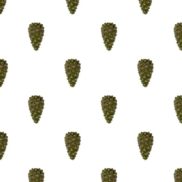 图案松果孤立在浅白色背景上的观点。明信片。美丽的圣诞背景。图片下载