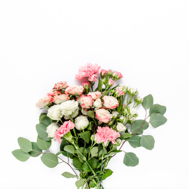 白色背景上美丽的粉色玫瑰和桉树枝。公寓平躺着，俯视图。花的框架。帧的花图片下载