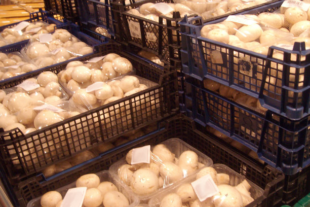 在超市的托盘里预先包装好的蘑菇图片下载