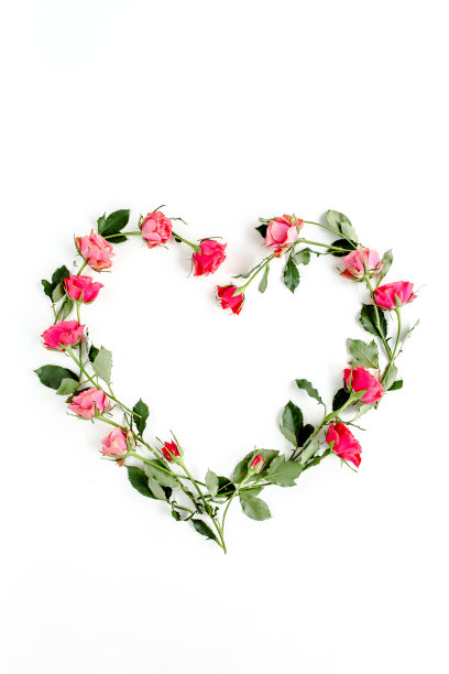心形图案以红玫瑰为衬，背景为白色。情人节的背景。花卉图案。平躺，俯视图图片下载
