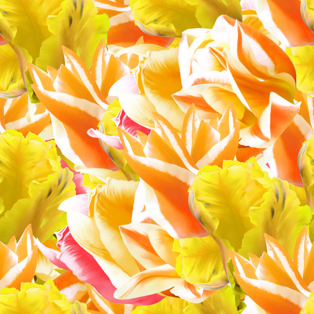 郁金香。插图，花的纹理。用于连续复制的无缝模式。花卉背景，照片拼贴为纺织品，棉布面料。用于墙纸，封面图片下载