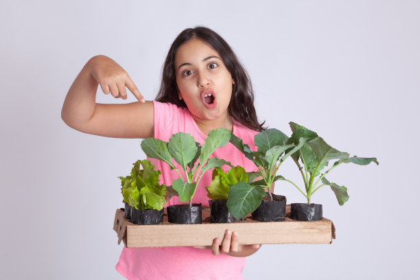 孩子抱着植物幼苗，卷心菜和莴苣。图片下载