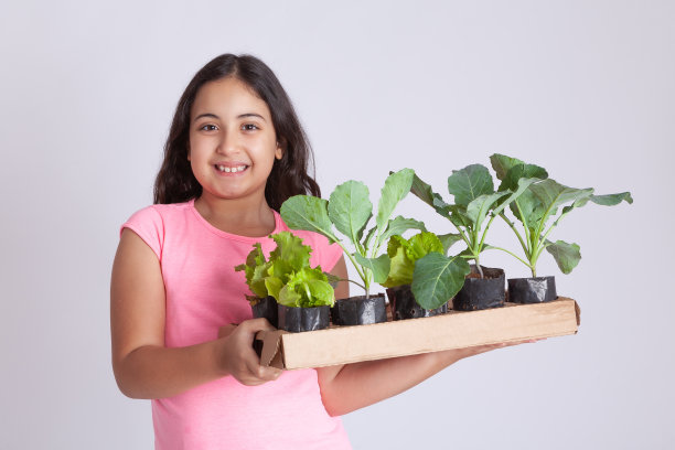 女孩拿着蔬菜幼苗图片下载