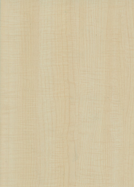 木质纹理和图案图片下载