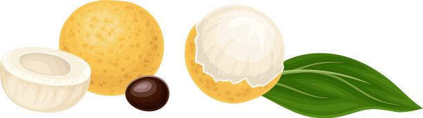 龙眼是一种外来的圆形水果，薄而坚韧图片下载