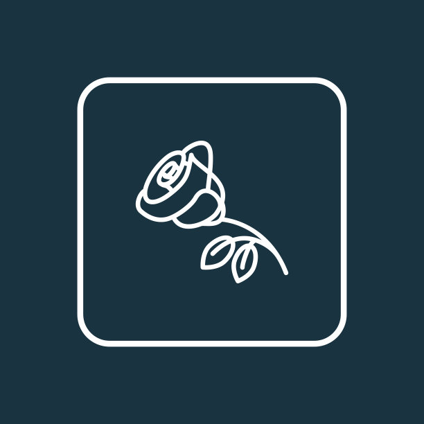 玫瑰花图标线条象征优质品质图片下载