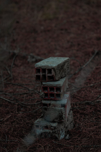 砖块与草形成鲜明的对比图片下载