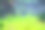 Nice green lawn/grass其他绿色草地的图像。图片下载