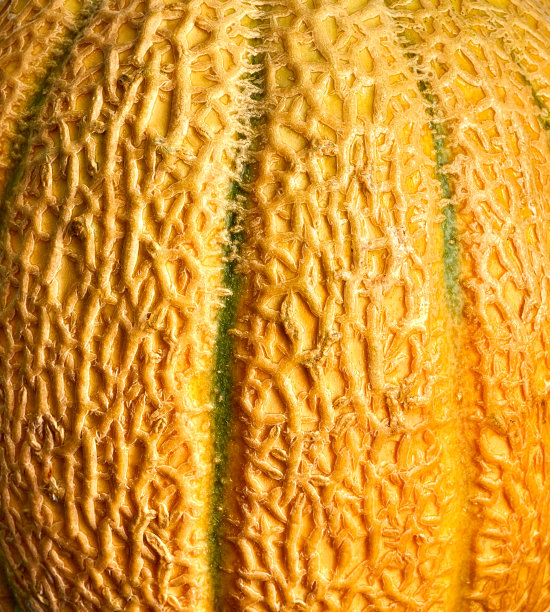 甜瓜作为艺术家的背景纹理图片下载