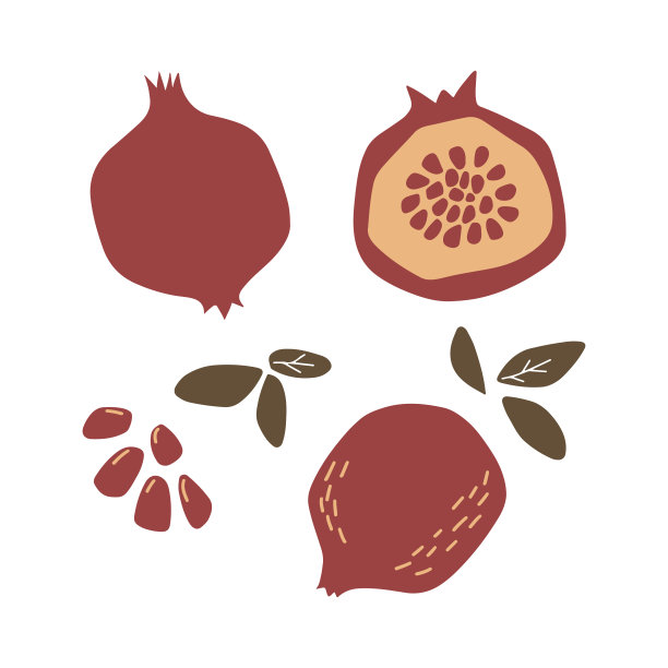 抽象的现代石榴图标孤立在白色背景。图片下载