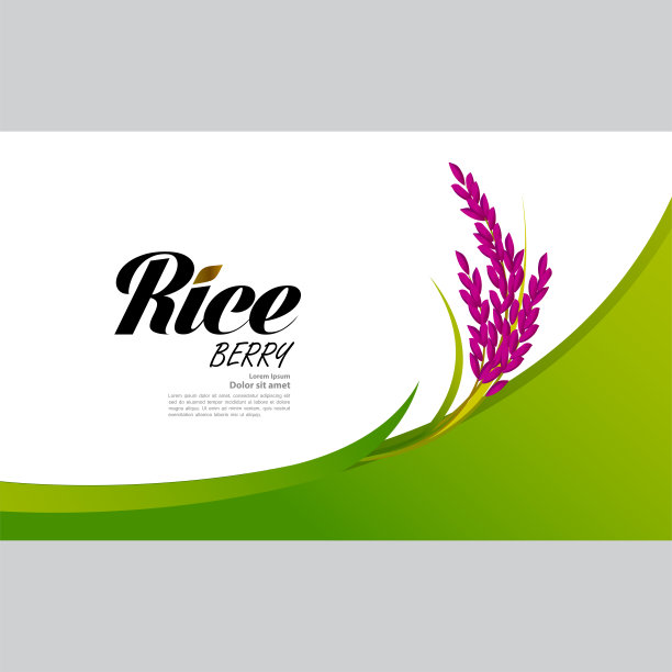 优质大米大品质设计理念向量。图片下载